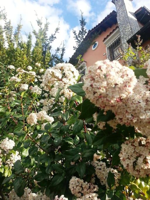 Villa Tethys Mountain Resort Zákas Екстериор снимка