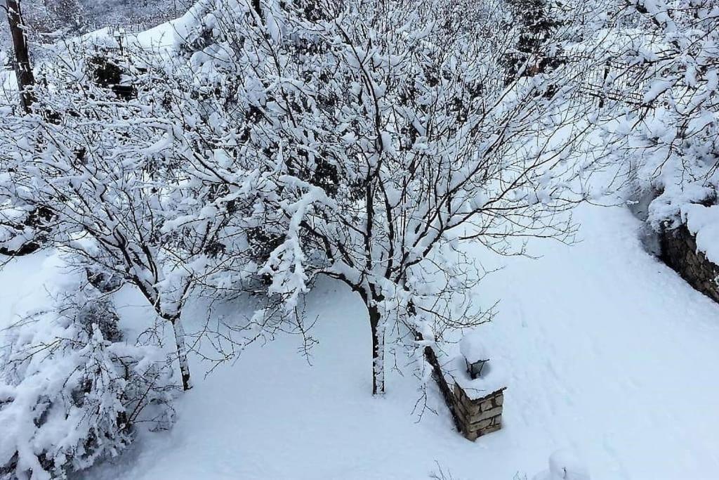 Villa Tethys Mountain Resort Zákas Екстериор снимка