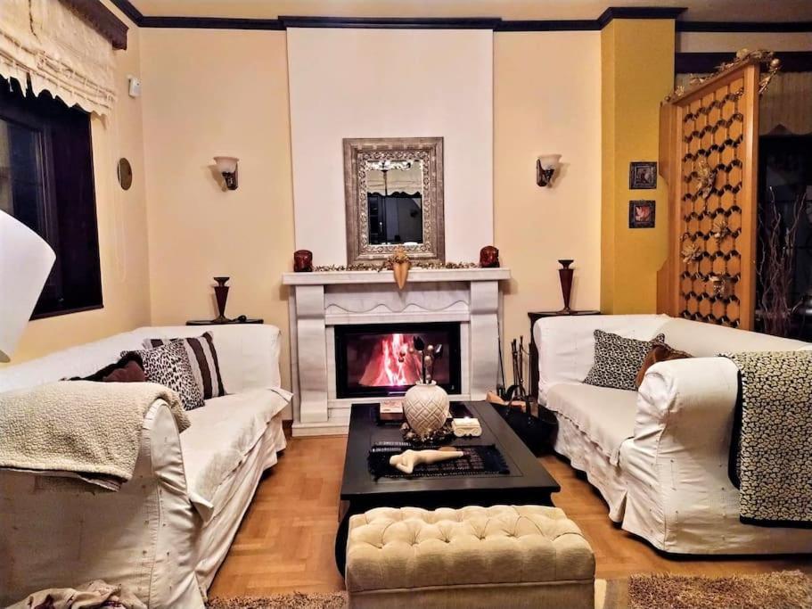 Villa Tethys Mountain Resort Zákas Екстериор снимка