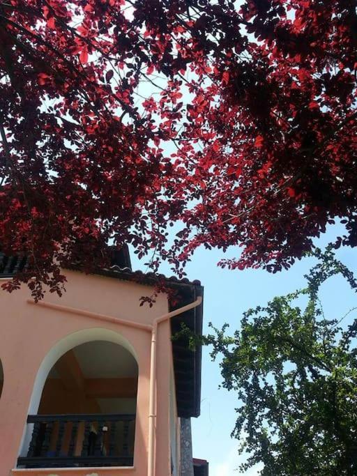 Villa Tethys Mountain Resort Zákas Екстериор снимка