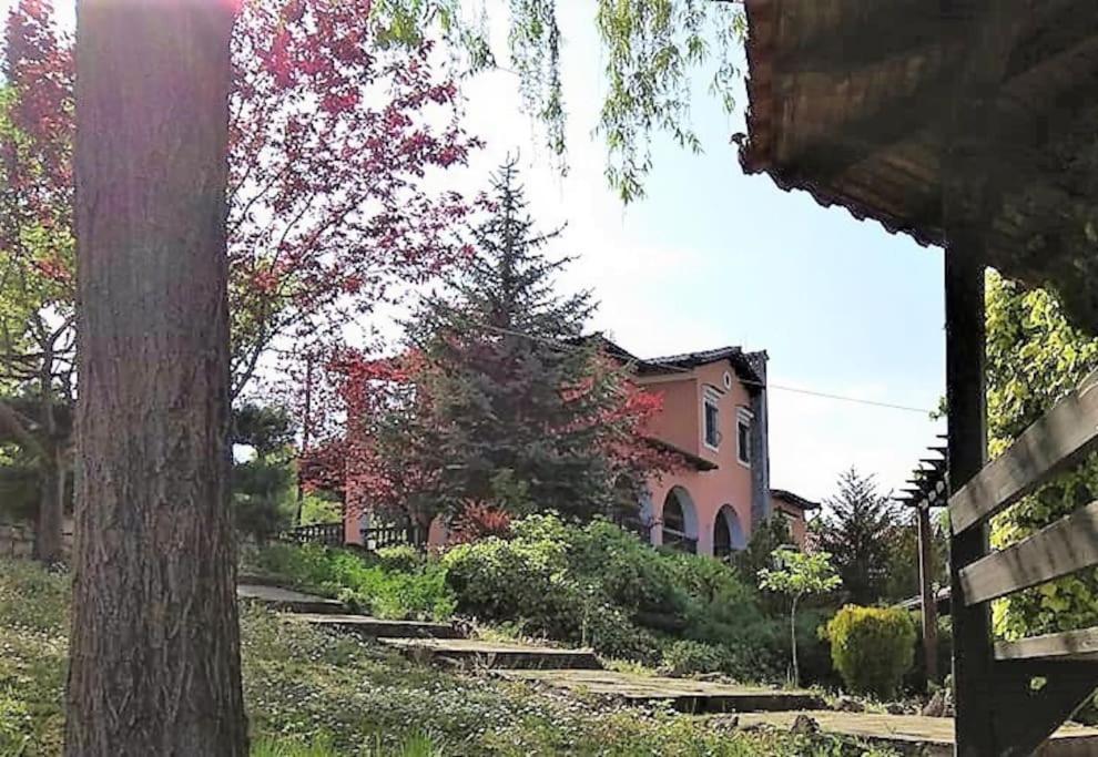 Villa Tethys Mountain Resort Zákas Екстериор снимка