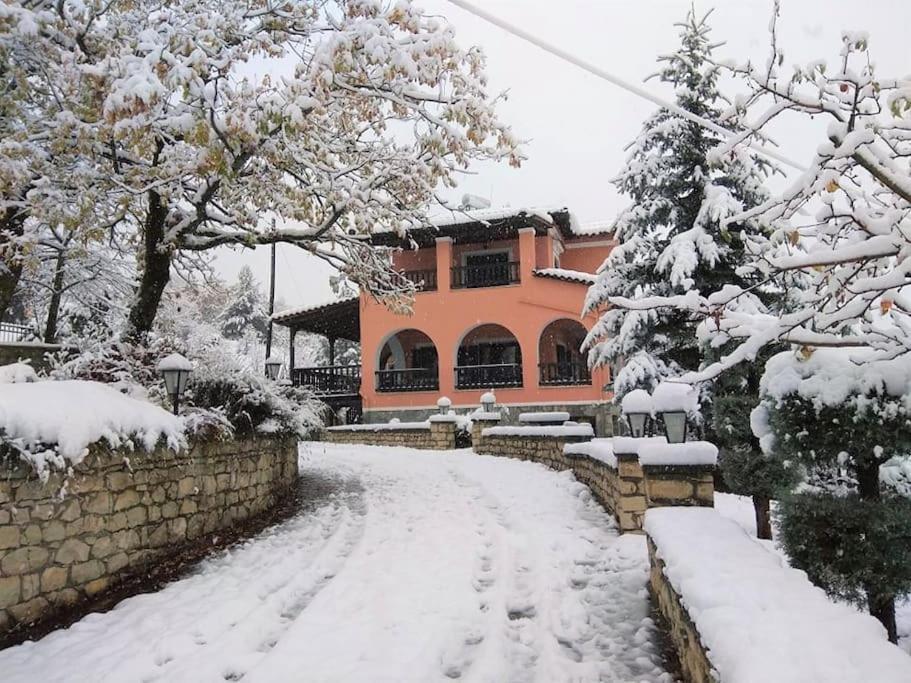 Villa Tethys Mountain Resort Zákas Екстериор снимка